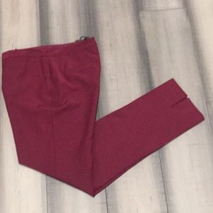 BCBG Tarik Pant - Bordeaux